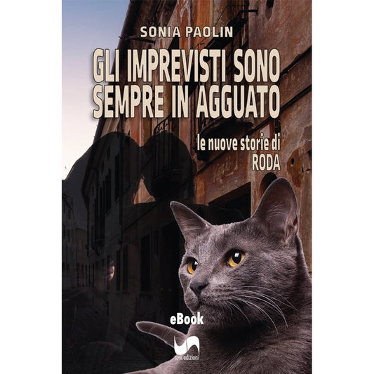 GLI IMPREVISTI SONO SEMPRE IN AGGUATO (eBook) di Sonia Paolin - Susil Edizioni