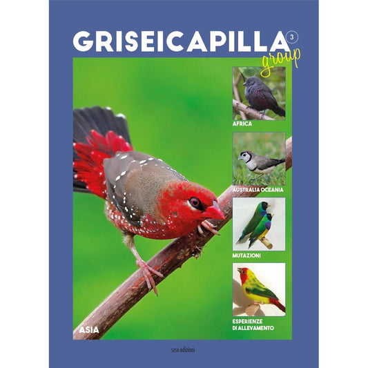 GRISEICAPILLA GROUP 3 di Luigi Pagliei - Susil Edizioni