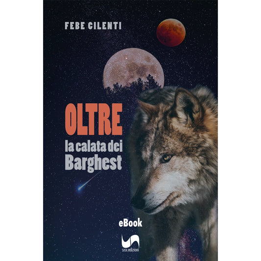 OLTRE (eBook) di Febe Cilenti