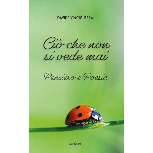 CIÒ CHE NON SI VEDE MAIPENSIERO E POESIAdi Davide Vinciguerra